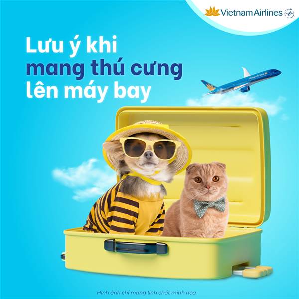 Quy định mang theo động vật cảnh của Vietnam Airlines